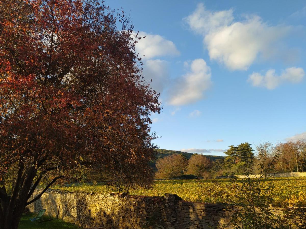 Le Clos Du Chateau Rully  Exteriör bild